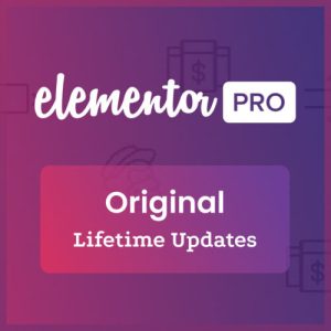 lisensi original Elementor Pro LIFETIME