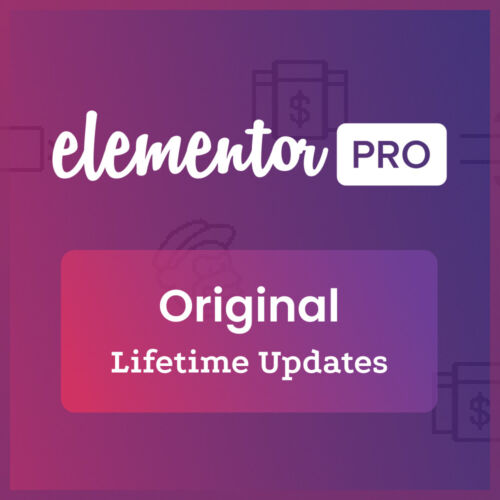 lisensi original Elementor Pro LIFETIME